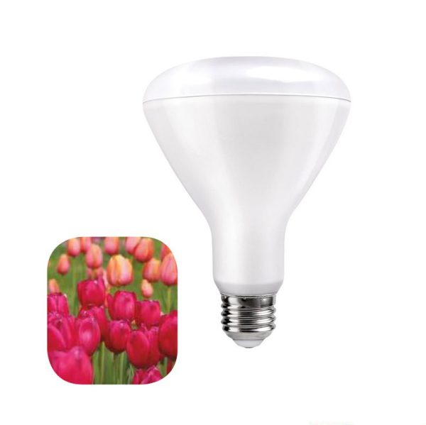 LED žiarovka pre kvitnutie rastlín 12W, E27, IP44